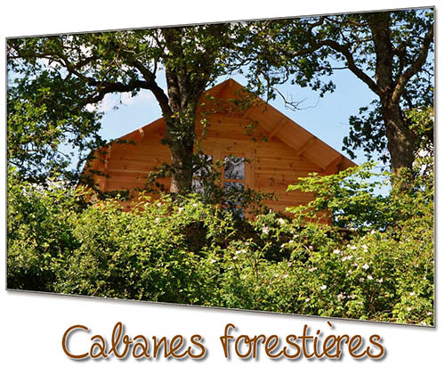 Echologia-2014-Logements hebergements insolites weekend nature Cabanes-forestieres